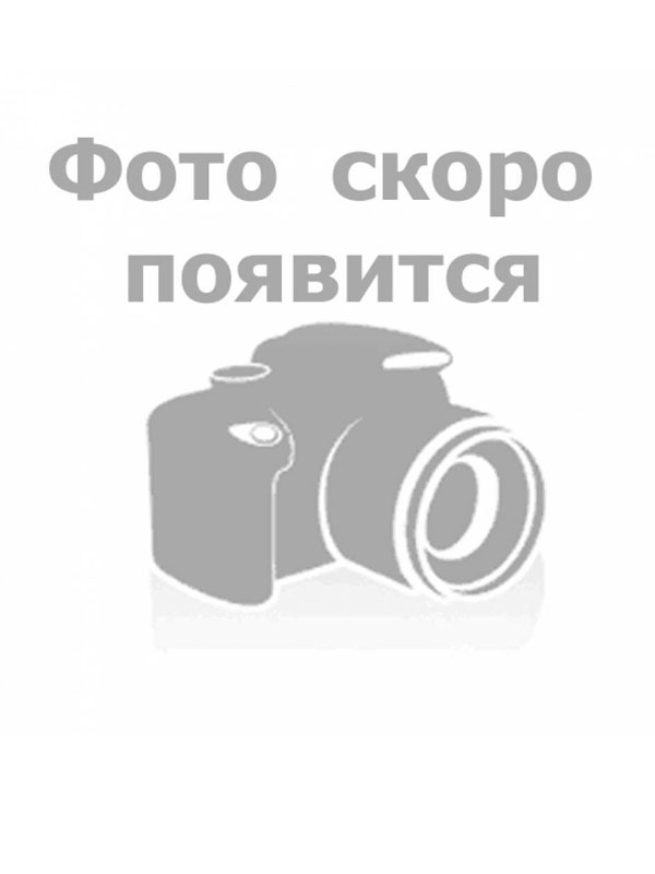 Шаталова Елена Владимировна.